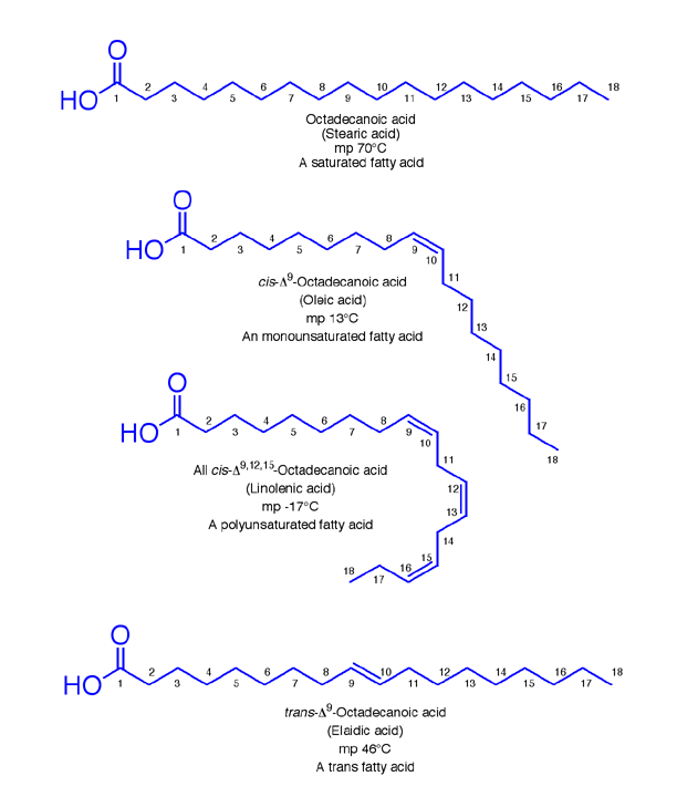 motd-trans-fatty-acids